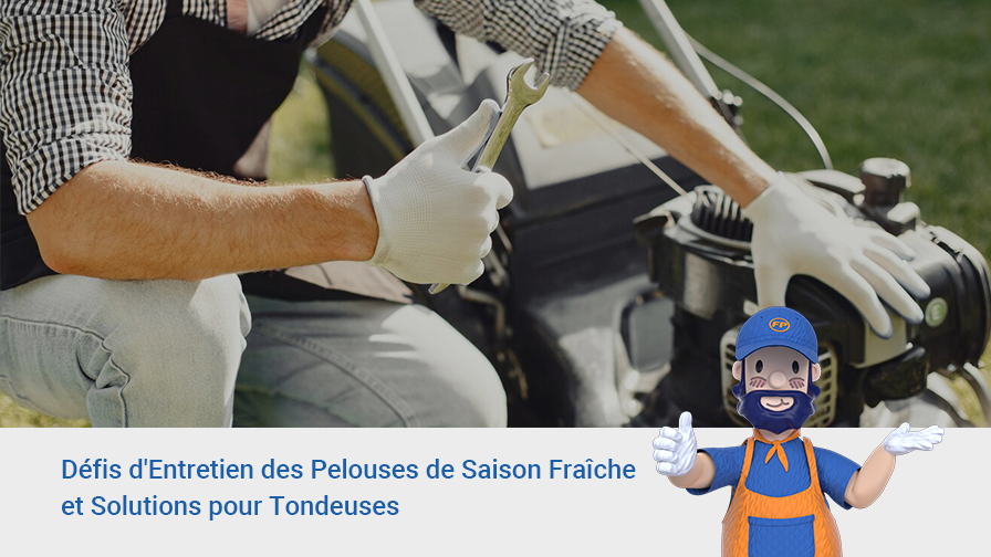 Comment Entretenir une Pelouse de Saison Fraîche et Utiliser Correctement Votre Tondeuse ?