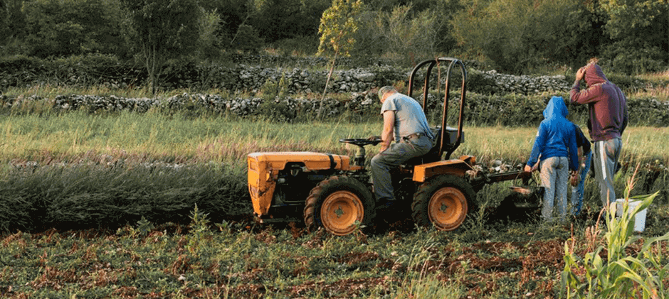 tractor busy in spring
