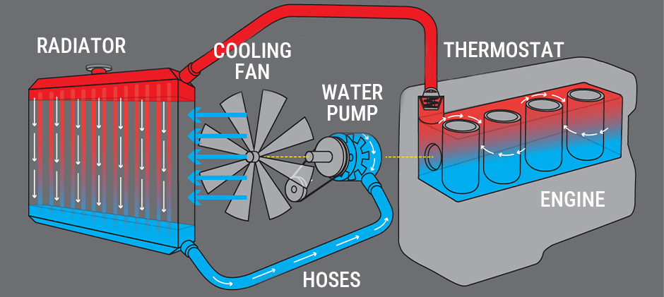 A workflow diagram of an engine's cooling system, clearly showing how the radiator, cooling fan, water pump, hoses, and thermostat work together to circulate coolant, moving hot fluid from the engine and returning cooled fluid.