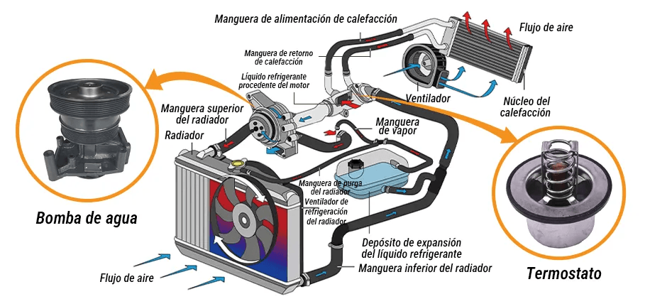El Termostato: El regulador de temperatura