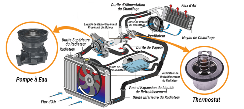 L’utilité des pompes à eau et des thermostats
