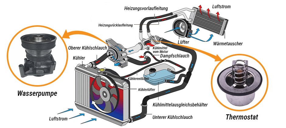 Welche Aufgaben haben Wasserpumpe und Thermostat?