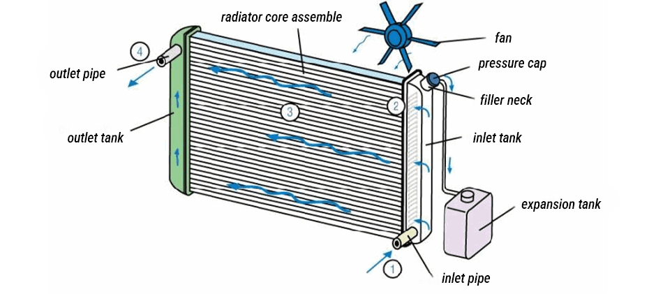 A diagram explaining how a radiator circulates and cools engine coolant with a fan.