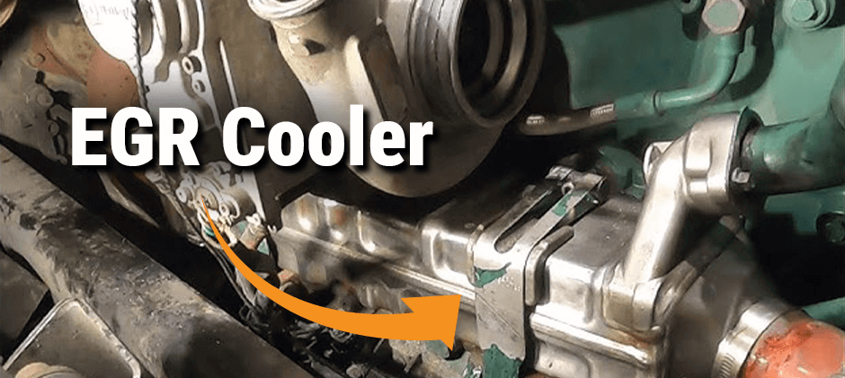 Close-up of an EGR cooler mounted on a heavy-duty diesel engine, with an arrow pointing to its location.