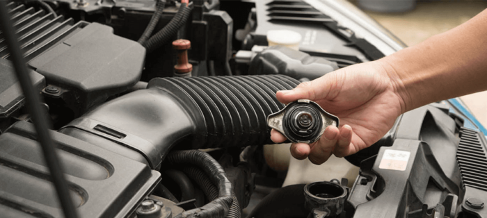 Check Radiator Sign Does Radiator Cap Really Bad? 7 Warning Signs to Tell You