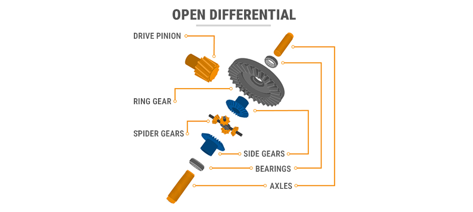 Diagram showing the location of the differential in a rear-wheel-drive vehicle's powertrain, connecting the prop shaft to the rear axle.