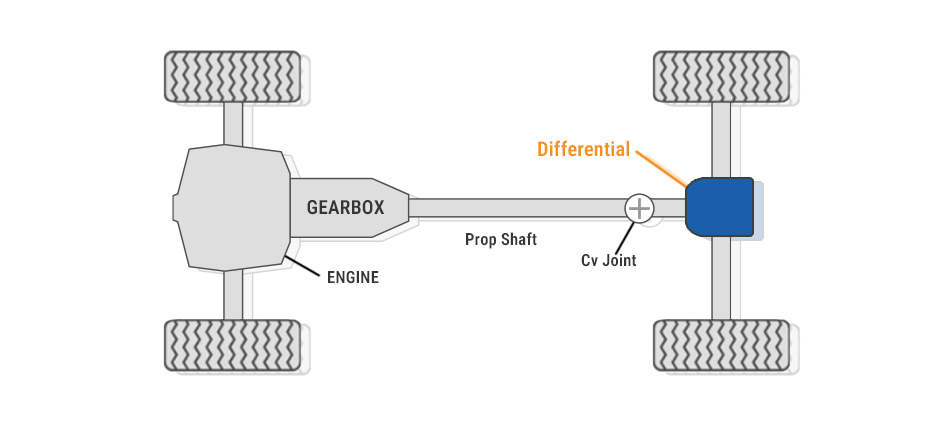 Diagram showing the location of the differential in a rear-wheel-drive vehicle's powertrain, connecting the prop shaft to the rear axle.