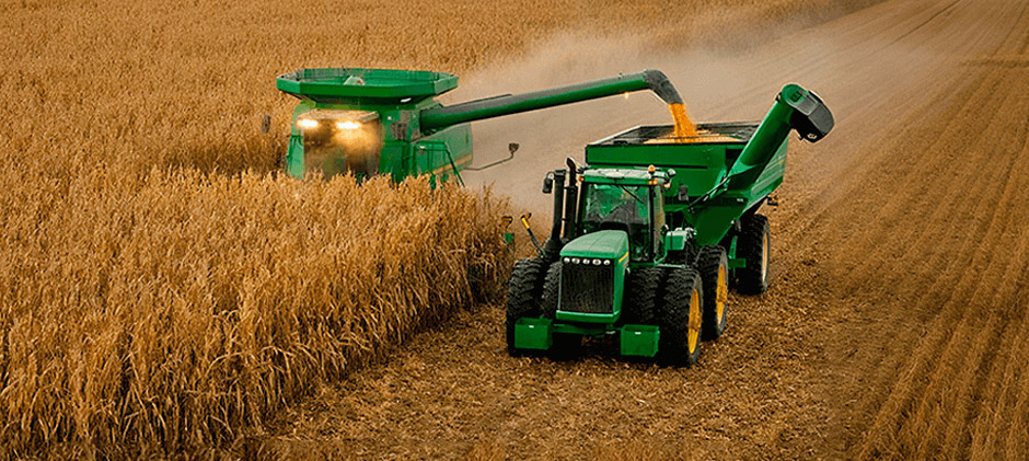 Harvester harvesting corn