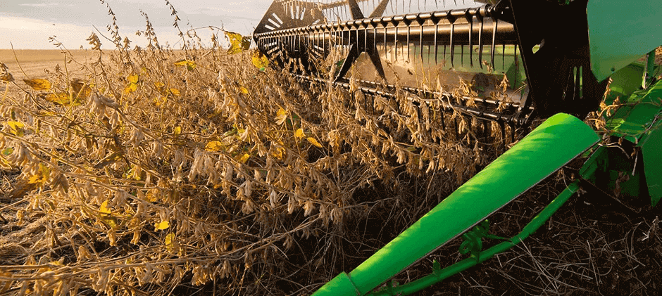 Soybean Harves