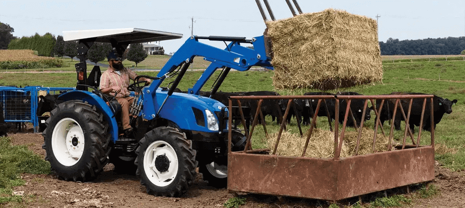 An operator using a New Holland Workmaster 50 tractor to lift a square hay bale to feed cattle in a pasture, showcasing a common agricultural application.