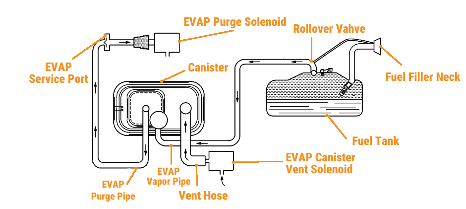 Diagram of an automotive EVAP system illustrating the fuel tank, charcoal canister, purge and vent solenoids, and connecting hoses.
