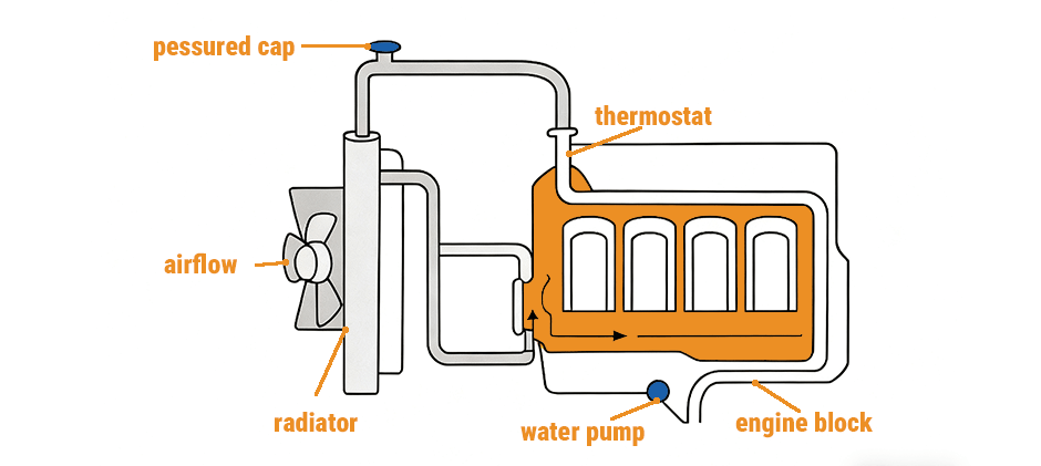 Diagram of a standard engine cooling system showing the radiator, engine block, water pump, and thermostat, illustrating coolant circulation.