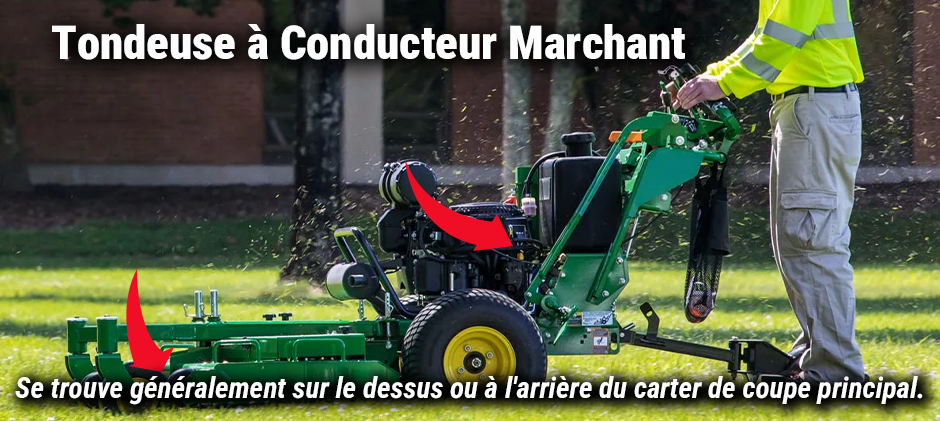 Tondeuses à conducteur marchant 