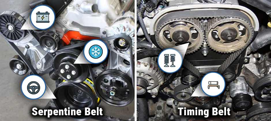 A diagram comparing a serpentine belt system powering external accessories (alternator, power steering) with a timing belt system synchronizing internal engine components (camshafts, crankshaft).