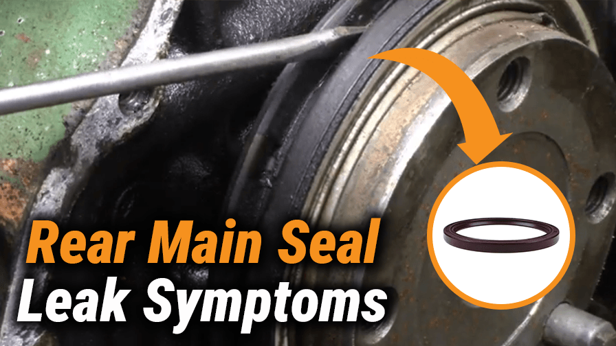 What Are the Rear Main Seal Leak Symptoms?