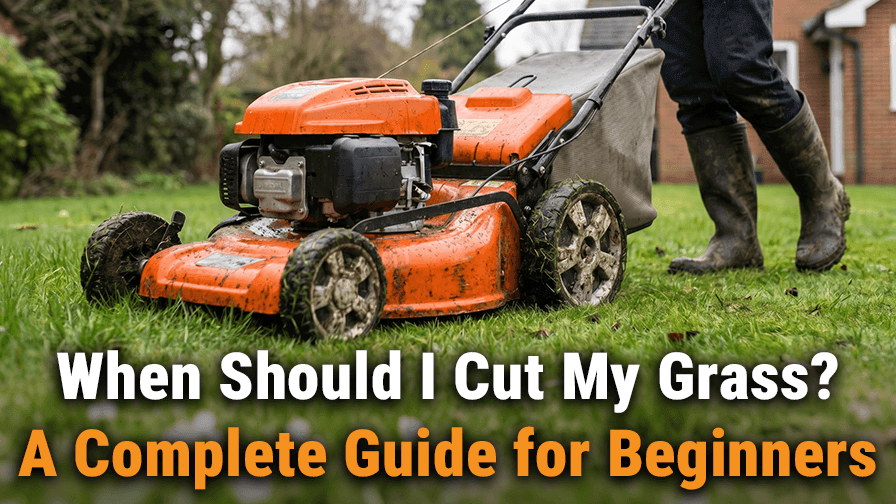 When Should I Cut My Grass? A Complete Guide for Beginners