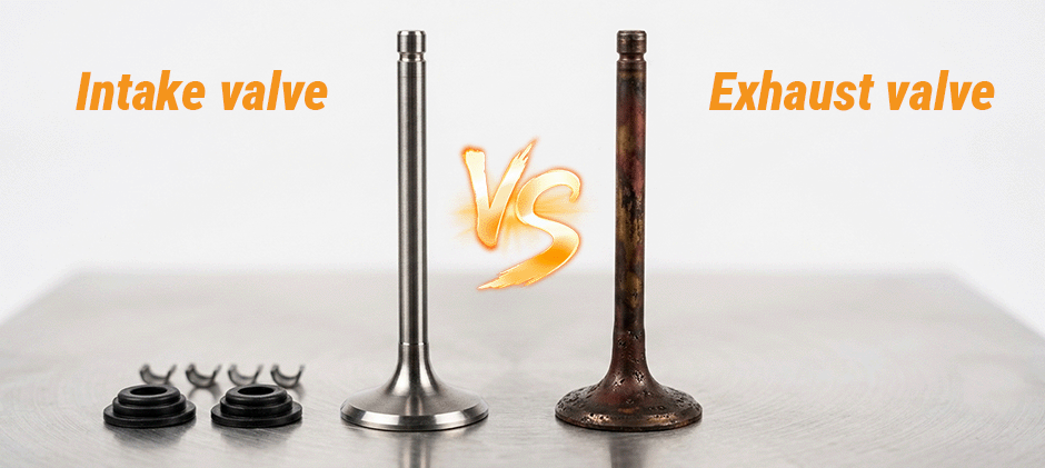 Intake and Exhaust Valves