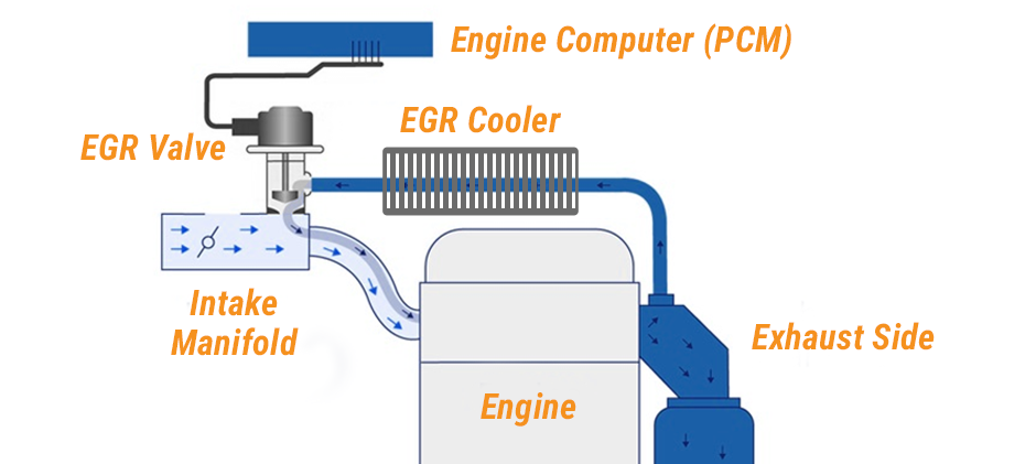 Exhaust Gas Recirculation