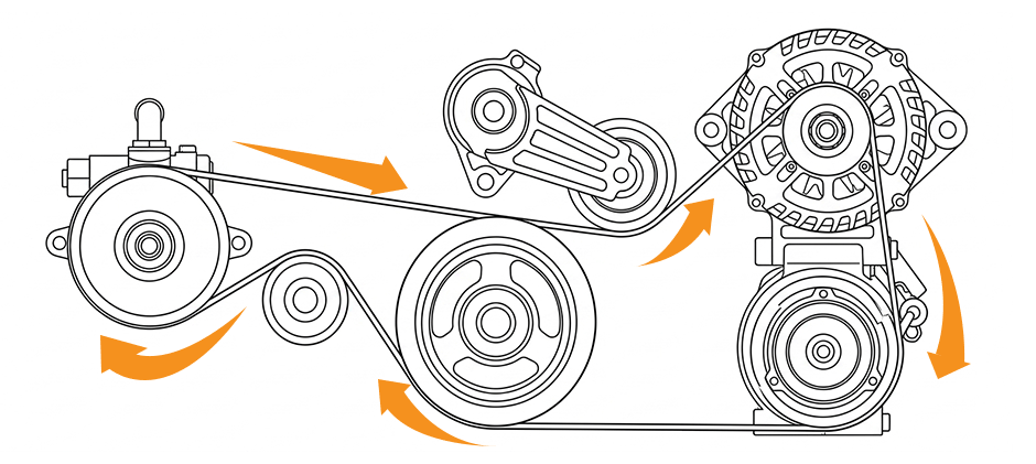 Drive Belt