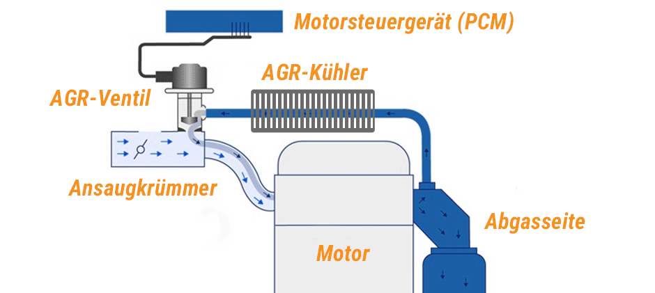 Abgasrückführung