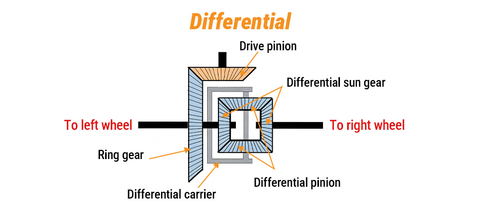 Differential diagram