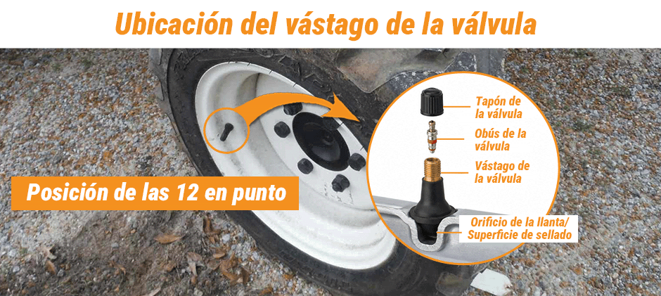 ¿Cómo reemplazar la válvula de un neumático en un Ford 3600?
